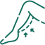 CTEV Icon