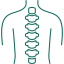 Spine Icon